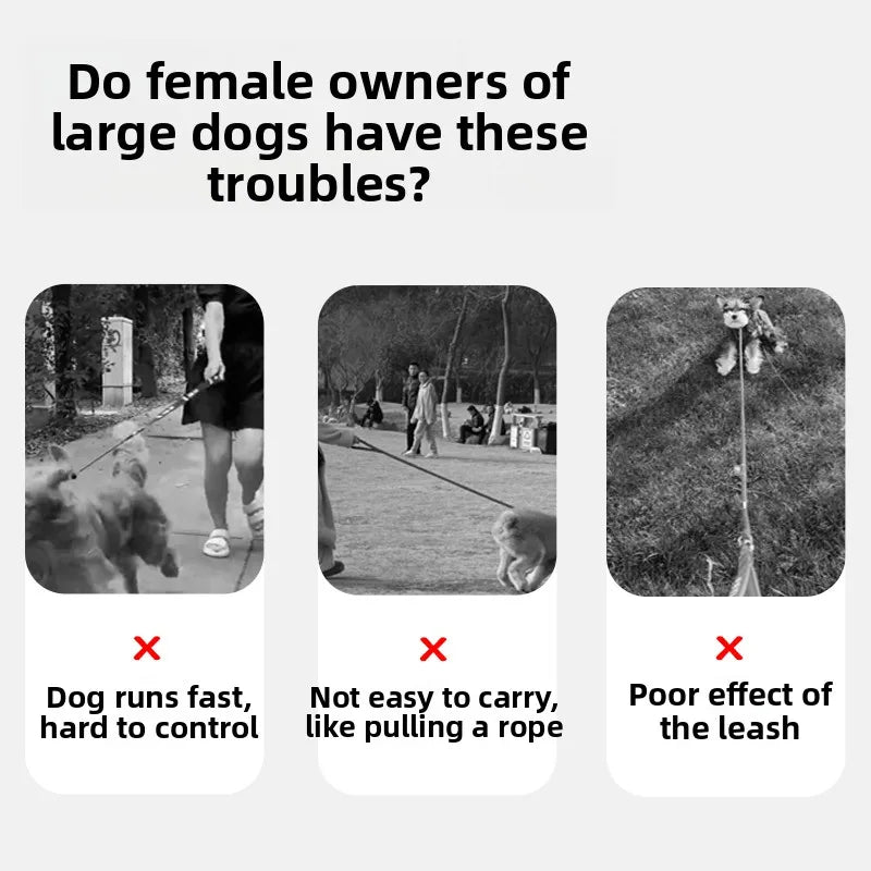 Large Dog Explosive Proof P-Chain Collar Doberman Pinscher Golden Retriever Dog Training Collar Pet Supplies Lea
