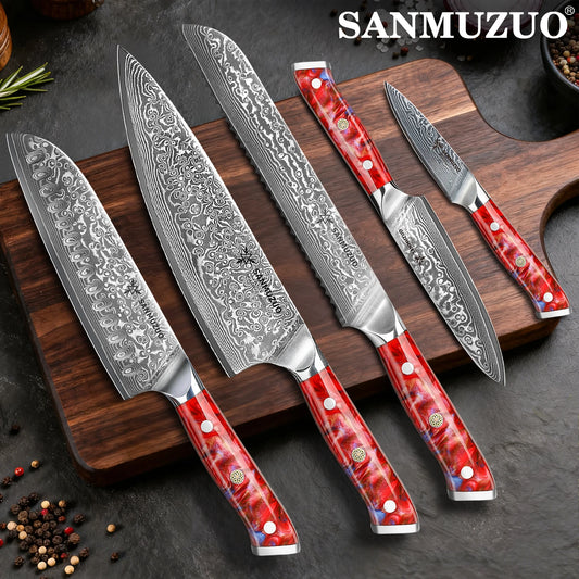 5PCS Kitchen Knife Set - Sharp Damascus Steel Knives with Resin Handle, Chef/Santoku/Bread/Paring/Utility Knife for Home Kitchen
