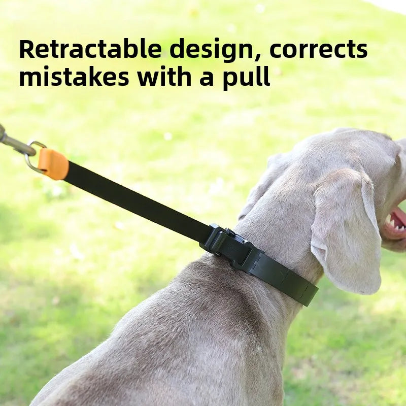 Large Dog Explosive Proof P-Chain Collar Doberman Pinscher Golden Retriever Dog Training Collar Pet Supplies Lea