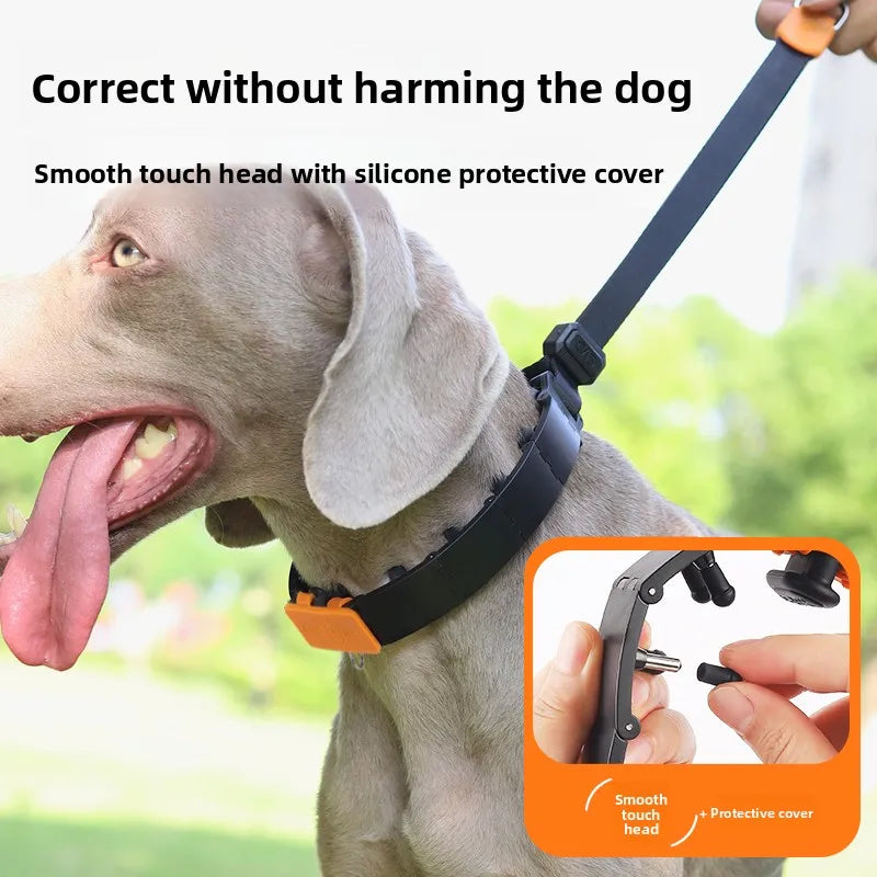 Large Dog Explosive Proof P-Chain Collar Doberman Pinscher Golden Retriever Dog Training Collar Pet Supplies Lea